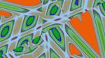 First of 'reflets — msg — variations 2 new 8 4'.