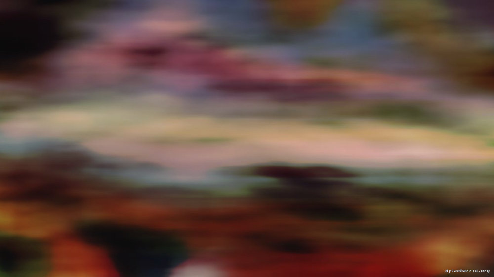 image: an image