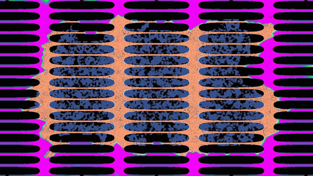 image: an image