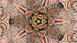 Fourth of 'reflets — msg — variations 1 organic sym 3'.