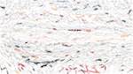 Third of 'reflets — paint action sequence — paint 1'.
