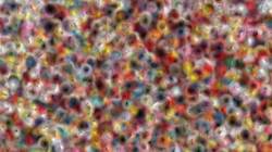 image: an image