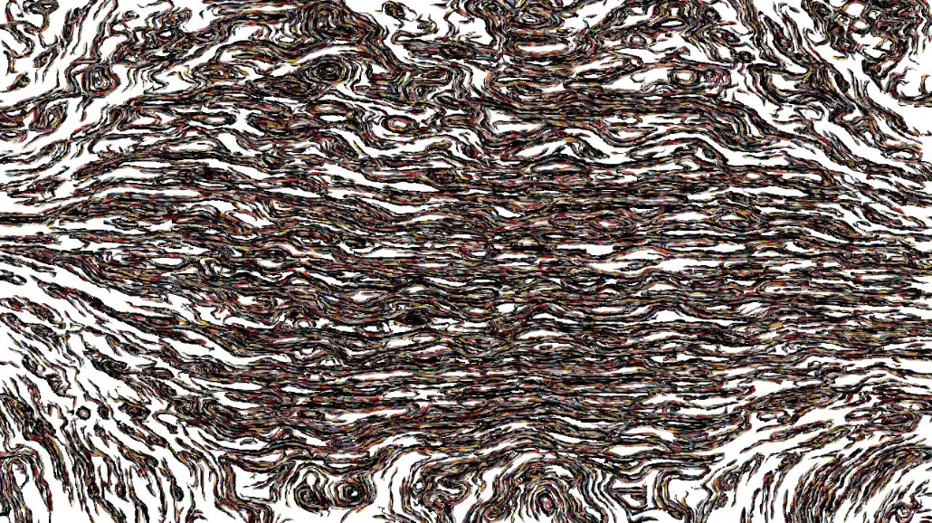 image: an image