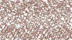 image: an image
