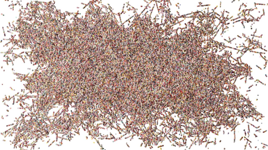 image: an image