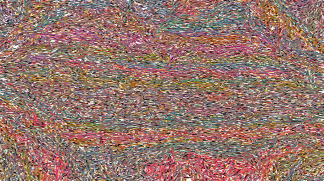 image: an image
