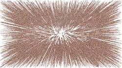 image: an image