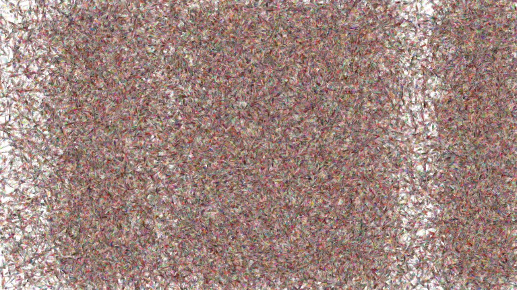 image: an image