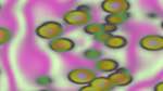 Seventh of 'reflets — msg — variations 0 pattern 2 1'.