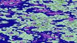 Third of 'reflets — msg — abstract patterns'.