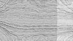 Third of 'reflets — paint action sequence — pantograph etching 1'.