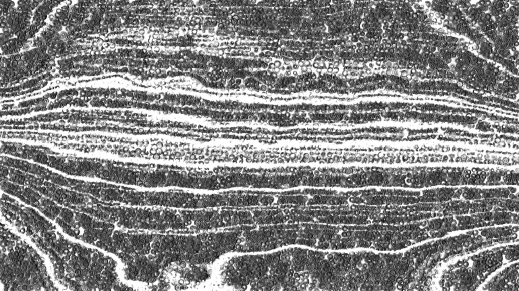 Image 'reflets — paint synthesiser classic — default pencils 2 2'.