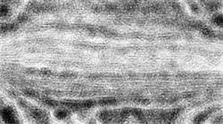 Fifth of 'reflets — paint synthesiser classic — default pencils 2'.