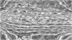 Sixth of 'reflets — paint synthesiser classic — default pencils 2'.