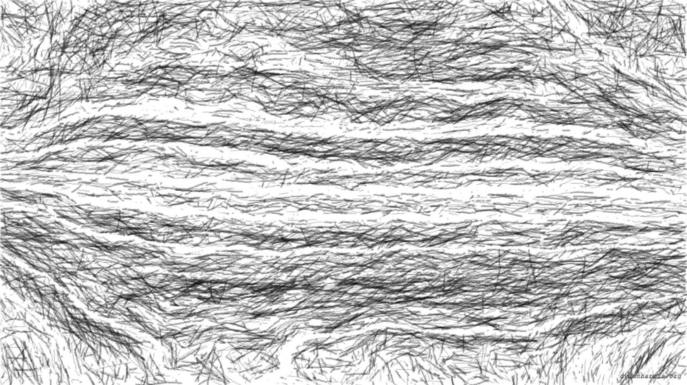 pencil sketch