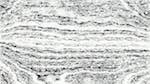 Seventh of 'reflets — paint action sequence — pencil sketch 1'.