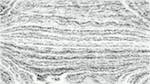 Eighth of 'reflets — paint action sequence — pencil sketch 1'.
