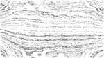 First of 'reflets — paint action sequence — pencil sketch 2'.