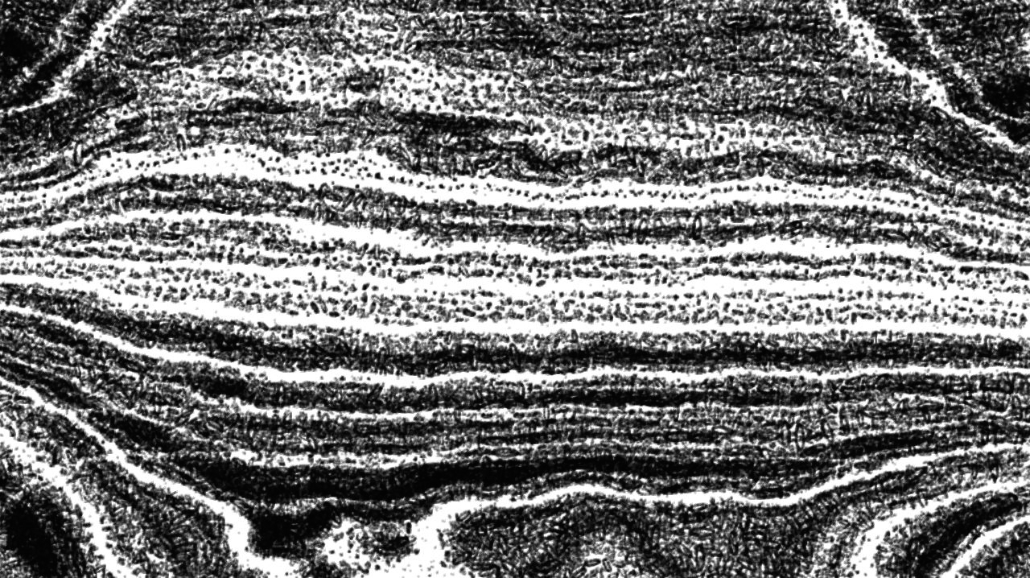 Image 'reflets — paint synthesiser classic — 4.0 collection pencil sketch 3 5'.