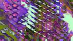 Sixth of 'reflets — msg — variations 1 pastel grid like 1'.