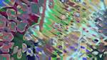 Eighth of 'reflets — msg — variations 1 pastel grid like 1'.