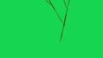 First of 'reflets — msg — abstract 1 plantlike'.