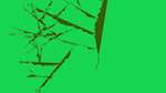 Second of 'reflets — msg — abstract 1 plantlike'.