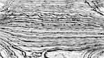 First of 'reflets — msg — processing effects 0 print making ideas 2'.
