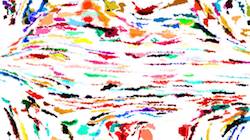 image: an image