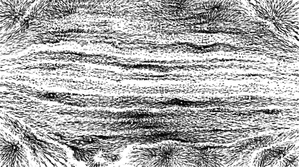 Image 'reflets — paint synthesiser classic — 4.0 collection regionisers 2 2 4'.