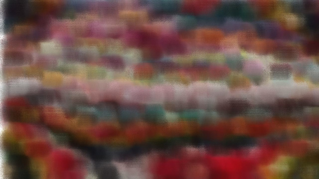 image: an image