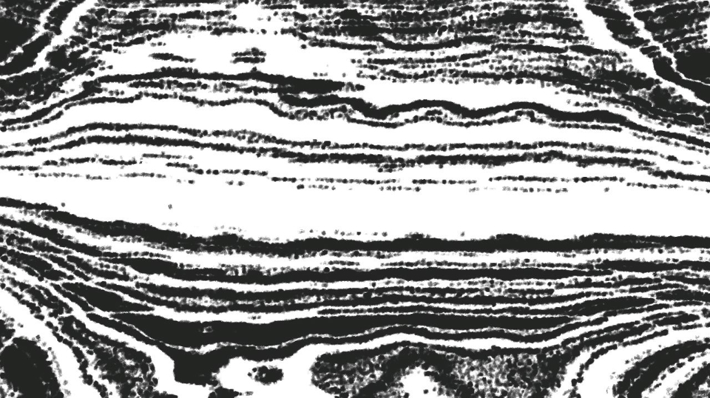 Image '4.0 A collection rough sketch scribblers 1 1'.