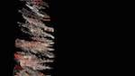 First of 'reflets — msg — processing effects 1 rutt extra'.