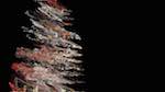 Second of 'reflets — msg — processing effects 1 rutt extra'.