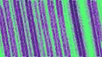 First of 'self animation reflets — msg — processing effects alpha 1'.