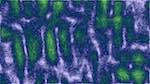Third of 'self animation reflets — msg — processing effects alpha 1'.