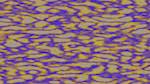Seventh of 'self animation reflets — msg — processing effects alpha 2'.