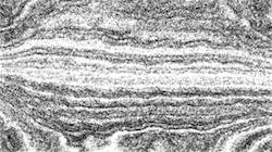 Third of 'reflets — paint synthesiser classic — 4.0 collection sketch alt exp 2'.