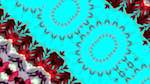 Second of 'self animation reflets — msg — processing effects 2 2'.