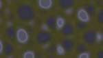 Fourth of 'self animation reflets — msg — processing effects 2 4'.