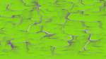 Second of 'self animation reflets — msg — processing effects with alpha 1'.