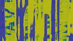 First of 'self animation reflets — msg — processing effects with alpha 3'.