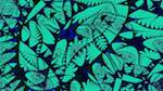 Third of 'reflets — msg — abstract 1 symmetry breaking 4'.