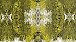 Third of 'reflets — msg — abstract 1 symmetry breaking 6'.