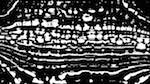 Second of 'reflets — msg — variations 0 screen 1'.