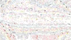 Sixth of 'reflets — paint synthesiser classic — paint styles screen effects 1'.