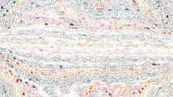 Eighth of 'reflets — paint synthesiser classic — paint styles screen effects 1'.