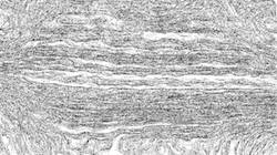 Second of 'reflets — paint synthesiser classic — 4.0 collection sketch 2'.