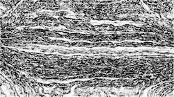 Fifth of 'reflets — paint synthesiser classic — default sketch effects 1 1'.