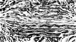 Second of 'reflets — paint synthesiser classic — default sketch effects 1 3'.